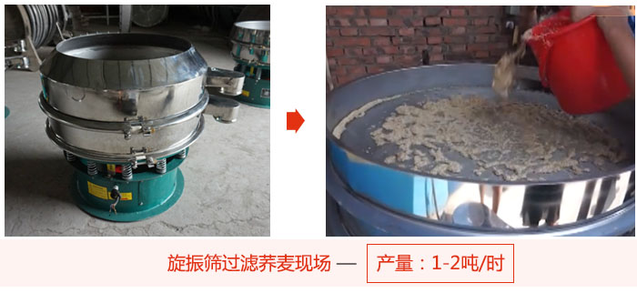 旋振篩過濾蕎麥現(xiàn)場，產(chǎn)量可達2噸每小時。
